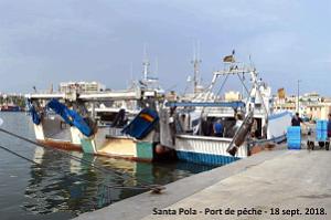 11 SANTA POLA PORT DE PECHE (130)